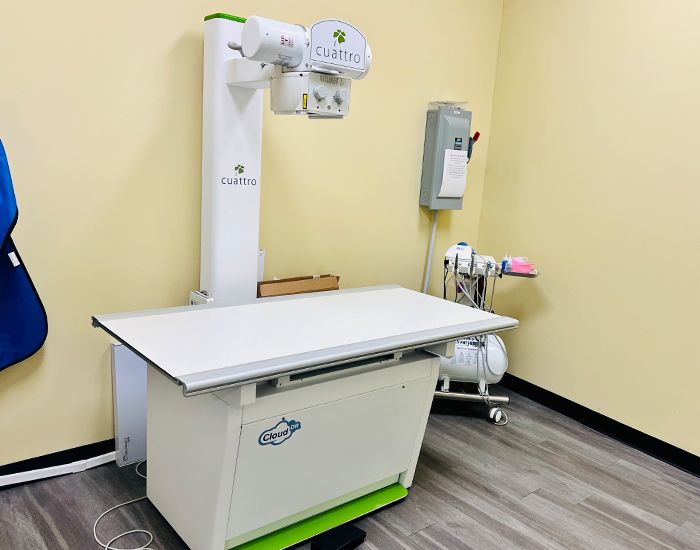 Veterinary radiology equipment